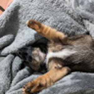 Meet your Posher, Adam